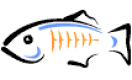GlassFish Kurs i Norge