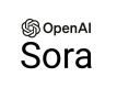 Sora Training in Norway