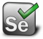 Web Application Testing Kurs i Norge